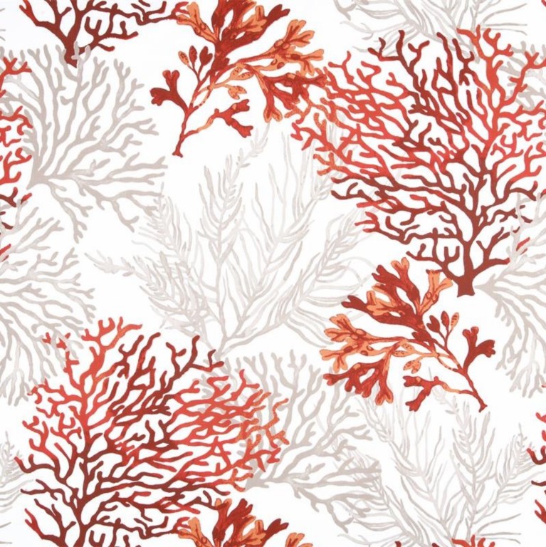 Recif Corail