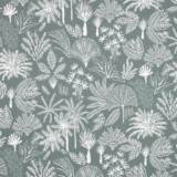 Agave Vert