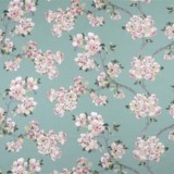Prunus